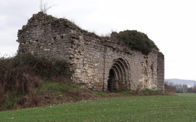 Desafíos demográficos en zonas despobladas