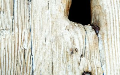 Tu pueblo puede ser escenario del Festival En Clave de Aragón 2018