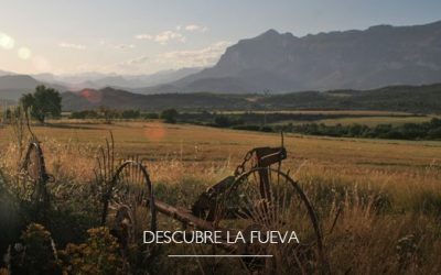 Palo acogerá la tercera edición de En Clave de Aragón