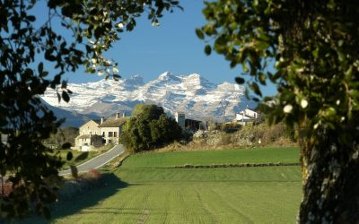 Seguimos trabajando en la programación de la cuarta edición
