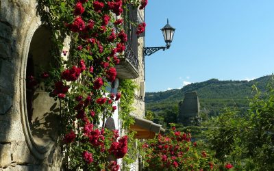 Implementación de medidas de seguridad en el festival En Clave de Aragón